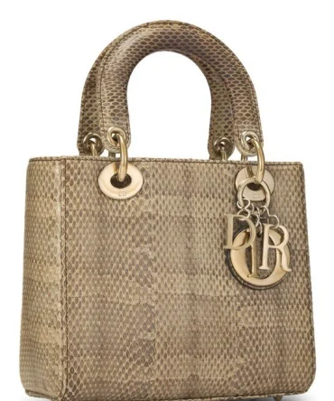DIOR/ChristianDior Brown Python Lady Dior Small